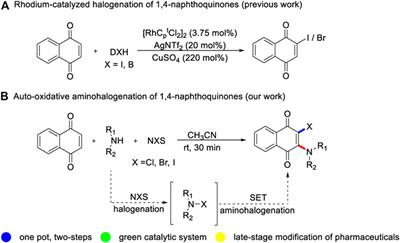 <mark class="highlighted">Metal-Free</mark> Aminohalogenation of Quinones With Alkylamines and NXS at Room Temperature